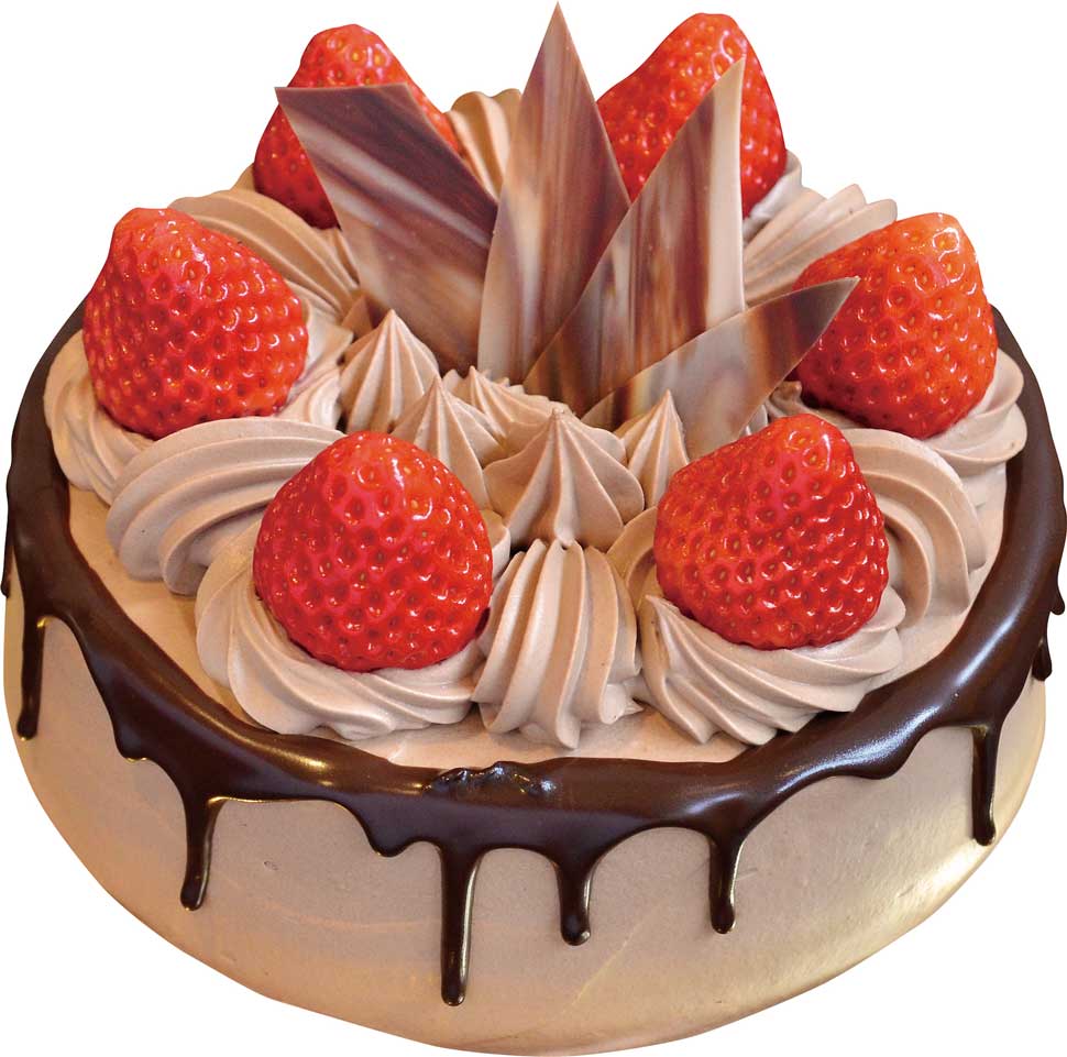 生チョコケーキ.jpg