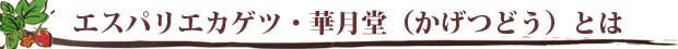 山口県柳井市 和菓子 華月堂 とは| 山口県柳井市 洋菓子・ケーキ エスパリエカゲツ　とは